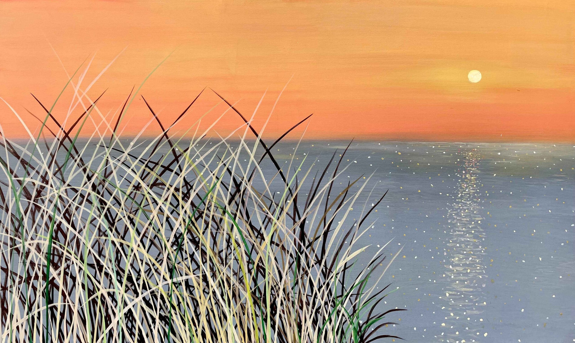 shamsul-arfeen-hashmi